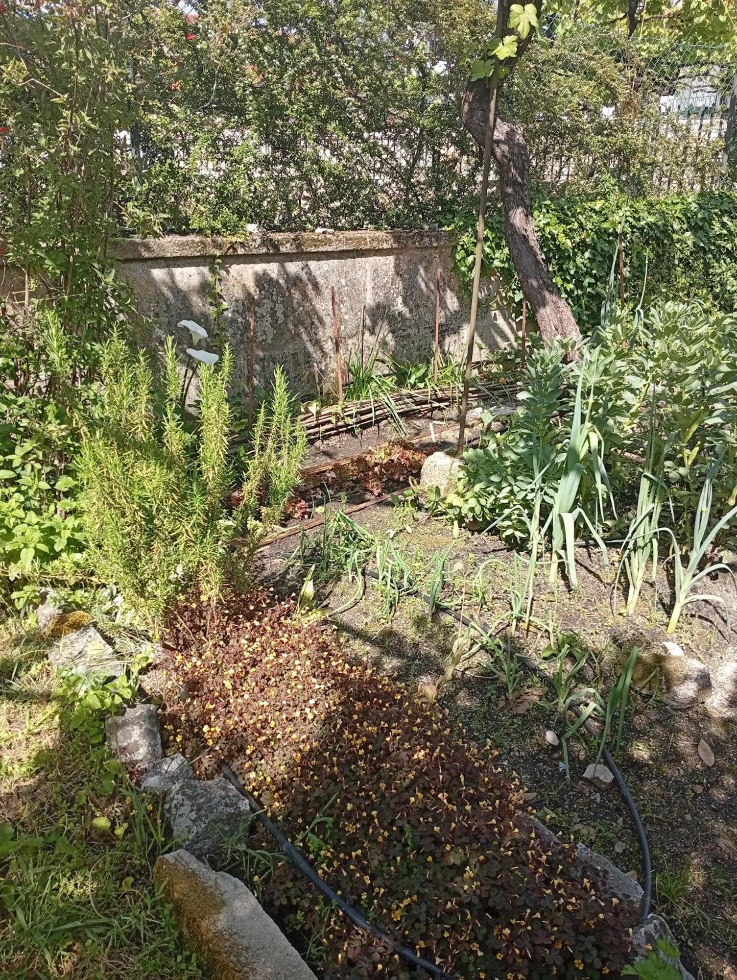 Casinha Da Horta Vakantiehuis Soajo